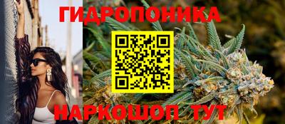 сатива Пугачёв