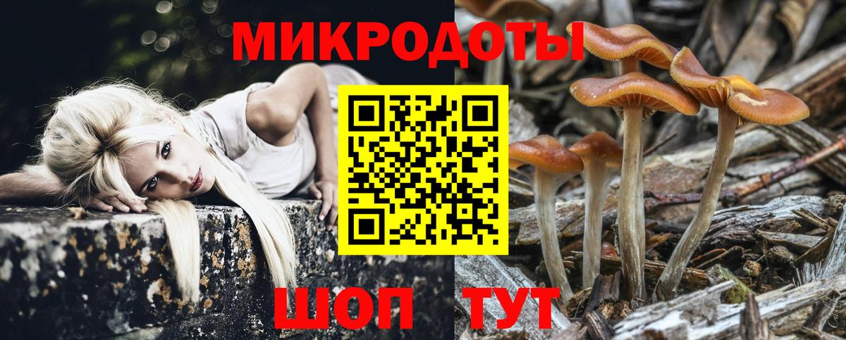 где купить наркоту  Вход с VPN  Ступино  Псилоцибиновые грибы мицелий 